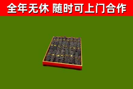 七星关区回收海参